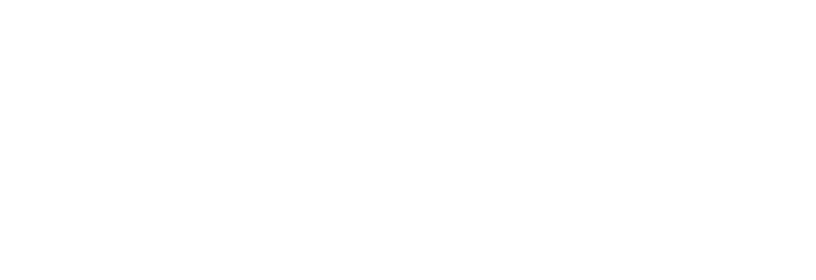 NUAM Echo Logo